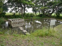 槻野の清水