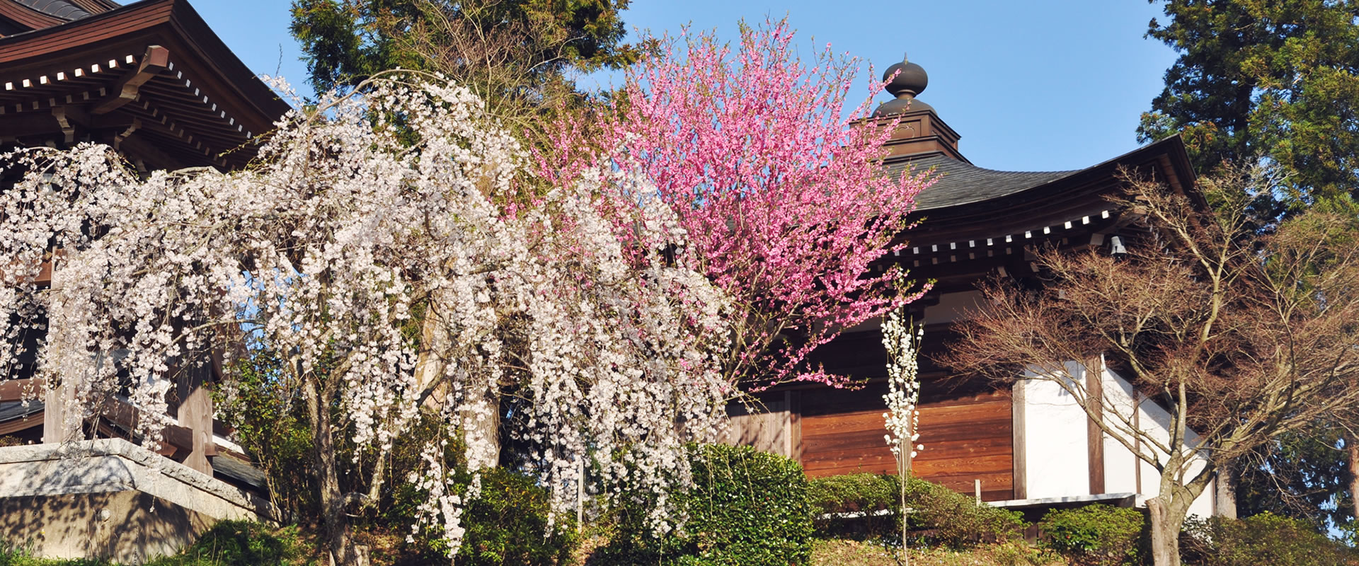 文殊院